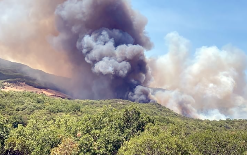 Yunanistan’da Kozlukebir bölgesinde yine yangın çıktı