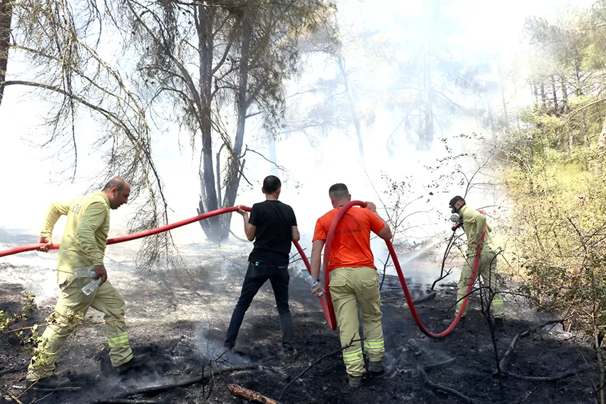 Trakya’da 7 ayda 126 hektar ormanlık alan yangınlarda zarar gördü