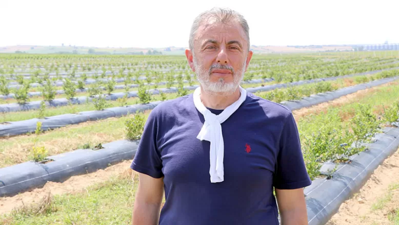 Emekli ziraat mühendisi Edirne’de yaban mersini yetiştiriyor