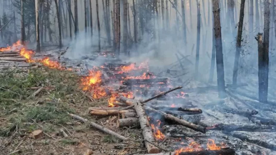 Bulgaristan’da Svilengrad Belediyesi orman yangını nedeniyle acil durum ilan etti