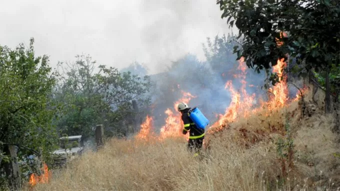 Rodoplar’da devam eden yangınlar, asırlık ormanı kül etti