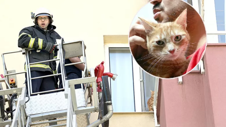 Edirne’de apartmanın beşinci katında mahsur kalan kedi kurtarıldı