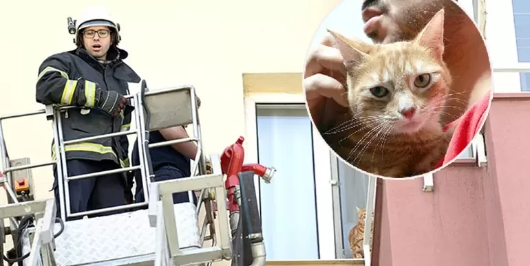 Edirne’de apartmanın beşinci katında mahsur kalan kedi kurtarıldı