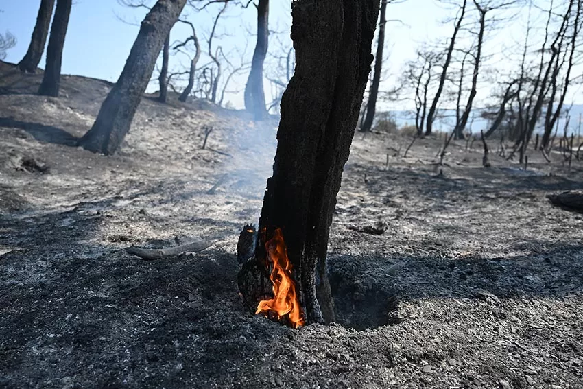 Çanakkale’de orman yangınının ardından soğutma çalışmaları sürüyor