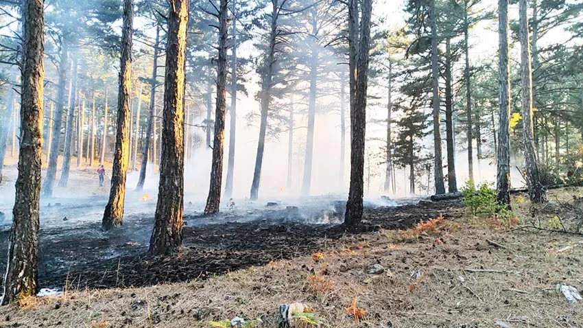 Çanakkale’de çıkan örtü yangınında 2 hektar alan zarar gördü