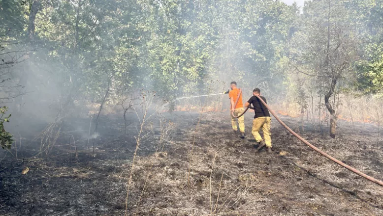 Edirne’de sınır hattında ormanlık alanda yangın çıktı