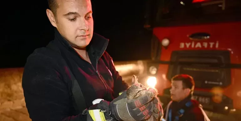 Meriç Köprüsü’nün ayağında mahsur kalan yavru kediyi itfaiye ekipleri kurtardı