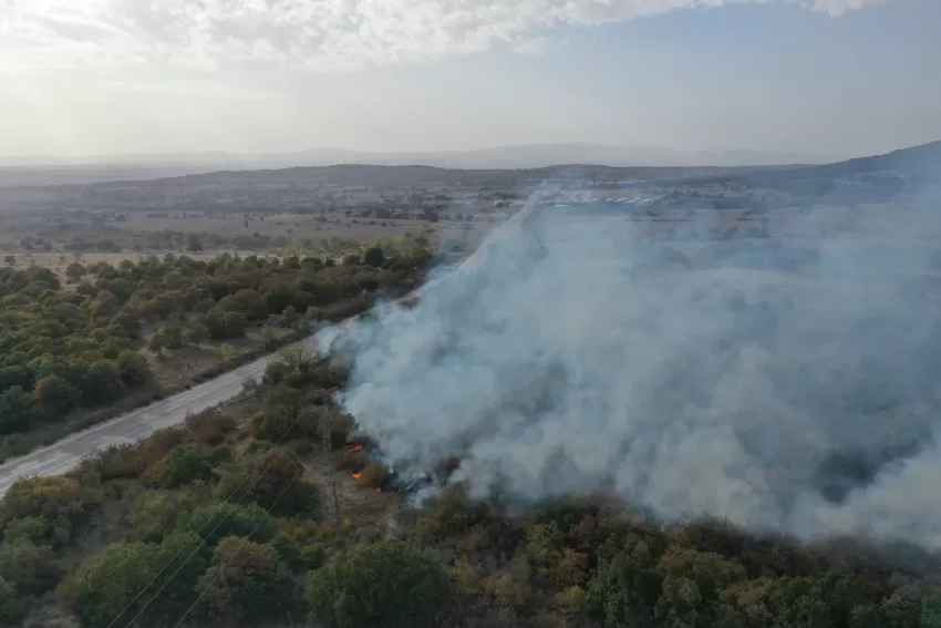Edirne’de sınır kapısı yolu kenarında başlayıp ağaçlık alana sıçrayan yangın söndürüldü