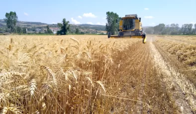 Buğdayın kilogramı en yüksek 8,660 liradan satıldı