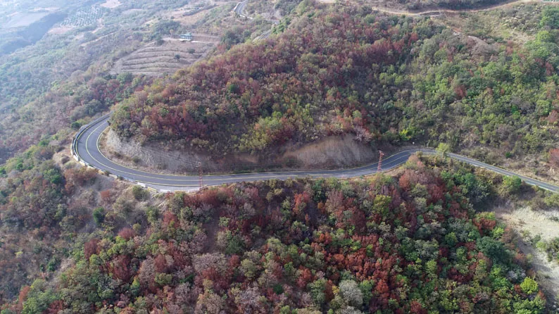 Ganos Dağı eteklerindeki ormanlarda sonbahar renkleri hakim oldu