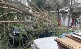 Lüleburgaz’da şiddetli rüzgar etkili oldu