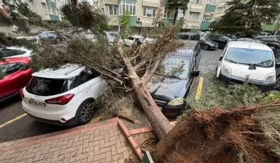 İstanbul Valiliği kentteki yağış ve fırtınanın bilançosunu açıkladı: