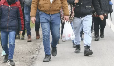 Edirne’de 19 düzensiz göçmen yakalandı
