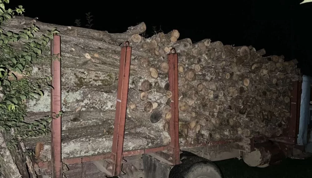 Kuzey Makedonya’da  kaçak odun kesimine tutuklama