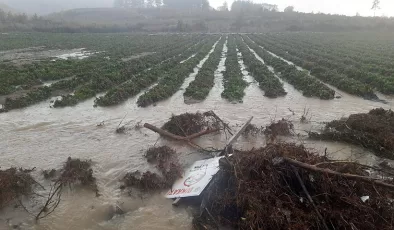 Çanakkale’deki şiddetli yağıştan 7 bin dönüme yakın tarım arazisi zarar gördü