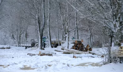 Kırklareli’nde kapanan 11 köy yolu ulaşıma açıldı