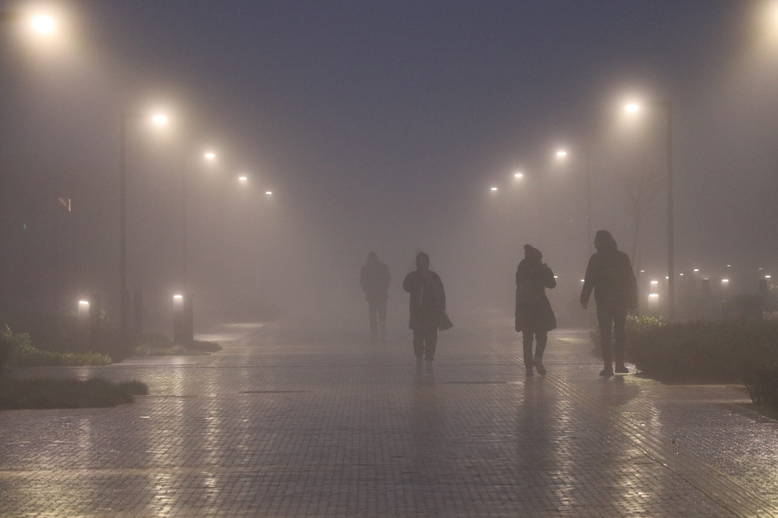 Edirne’de yoğun sis etkili oldu