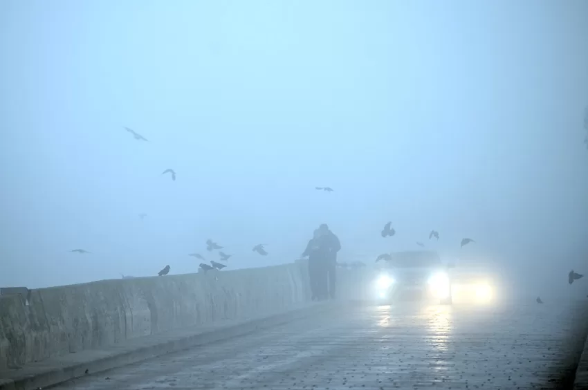 Edirne’de yoğun sis etkili oluyor