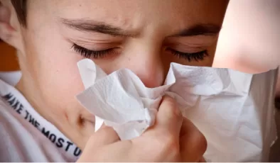 Plovdiv ve Pazarcik bölgeleri grip salgını tehdidi altında