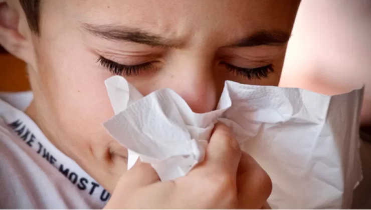 Plovdiv ve Pazarcik bölgeleri grip salgını tehdidi altında