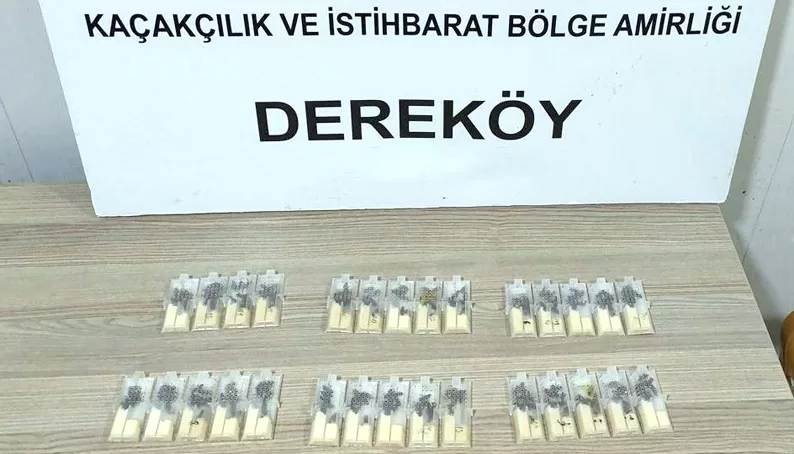 Türkiye’ye kaçak yollarla kraliçe arı getiren sanığa 5 yıla kadar hapsi istemi