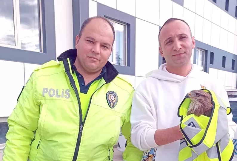 Polis ekiplerinin bulduğu yaralı atmaca koruma altına alındı