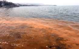 Tekirdağ’da planktonların çoğalmasıyla deniz suyu yer yer renk değiştirdi