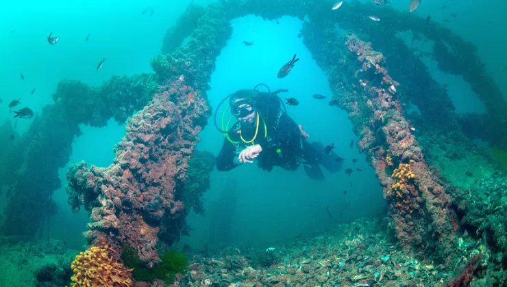 Gelibolu Tarihi Su Altı Parkı, dalış tutkunlarının yeni rotası oldu
