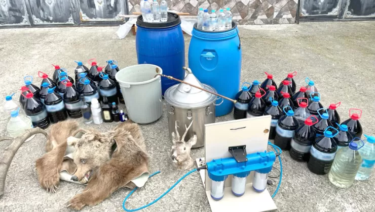 Çanakkale’de sahte içki, ayı postu ve doldurulmuş karaca başı ele geçirildi