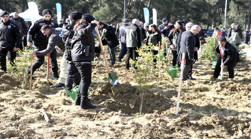 Tekirdağ’da iki buçuk ayda 200 bin fidan toprakla buluşturuldu