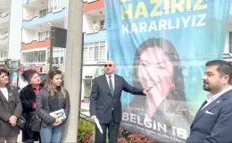 Tanal, AK Parti adayının afişini eleştirdi