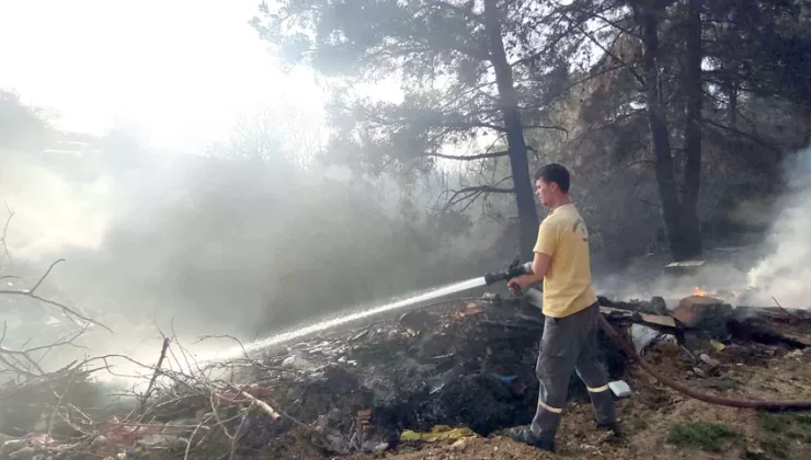 Edirne’de çıkan yangında 5 dönüm ormanlık alan zarar gördü