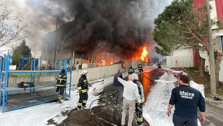 Tekirdağ’da fabrika alev alev yanıyor