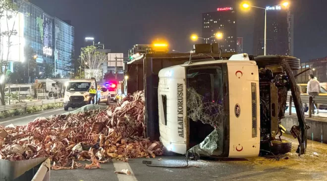 İstanbul’da sakatat yüklü kamyon devrildi, sürücü kaza yerinden kaçtı