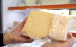 Trakya’nın coğrafi işaretli peynirlerinin tanıtımı için “peynir rotası” önerisi
