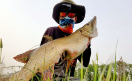 Kırklareli’nde amatör balıkçı 1 metre uzunluğunda turna balığı tuttu