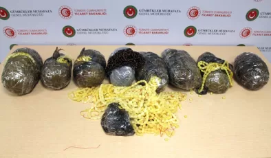 Kapıkule’de 3,5 milyon TL değerinde kehribar yakalandı