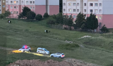İstanbul’da gölete giren 2 çocuk boğuldu