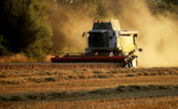 Bulgaristan’da çiftçilere Ukrayna yardımı ödemeleri başlıyor