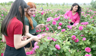 Osmanlı’nın “gül bahçesi” Edirne’de yine her yerde güller açacak