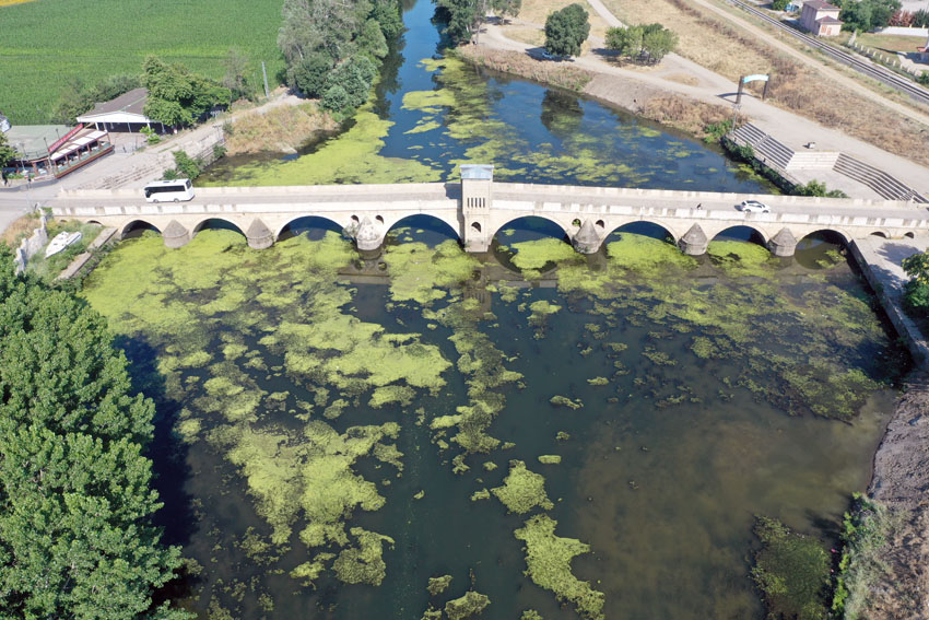 Tunca Nehri’nin yüzeyi yosun ve su mercimekleriyle kaplandı