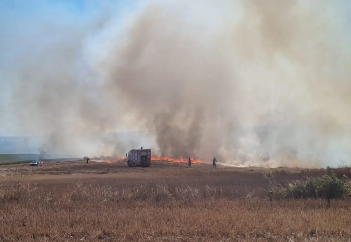 Tekirdağ’da piknik alanında çıkan ve tarım arazilerine sıçrayan yangın söndürüldü