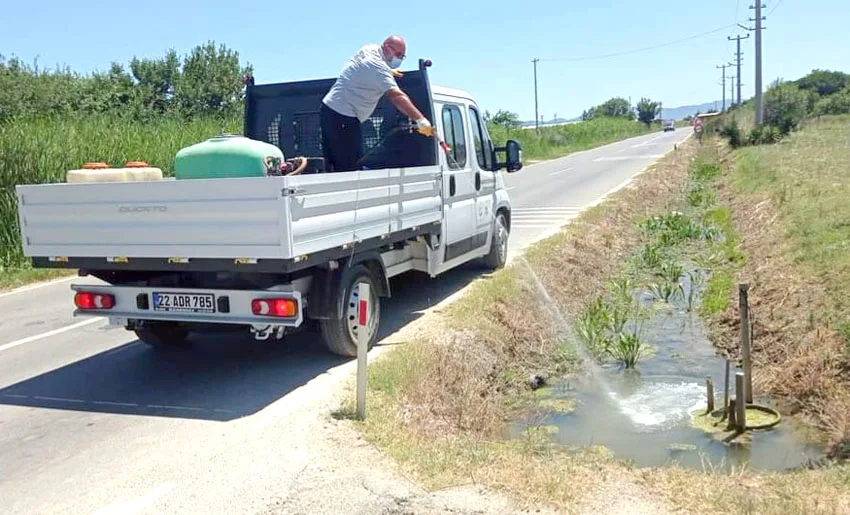 Sahil Sivrisinek 2 jpg - Erikli ve Yayla’da sivrisinekle mücadele başladı