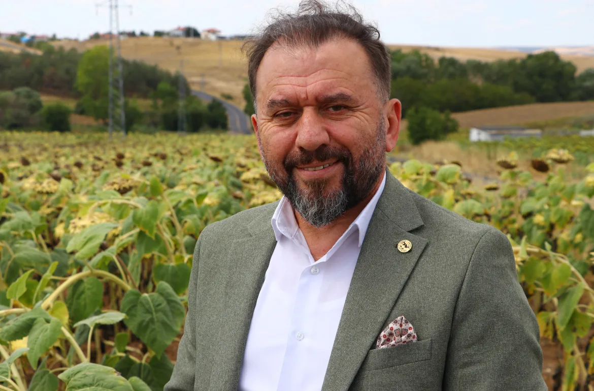Tekirdağ’dan Rusya’ya ihraç edilen yerli hibrit ayçiçeğine talep artıyor