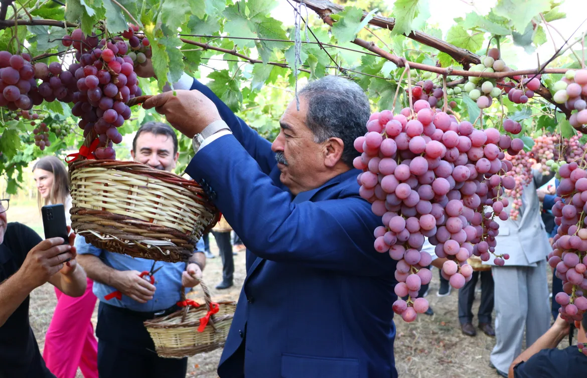 Tekirdağ’da “12. Bağ Bozumu Şenliği” düzenlendi