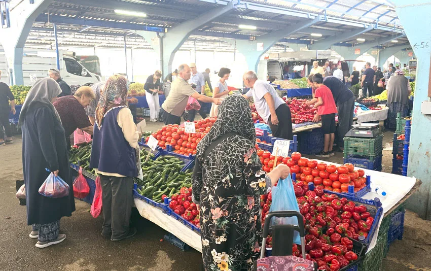 Kornison Salatalik 4 jpg - Kornişon salatalık pazarda ilgi gördü