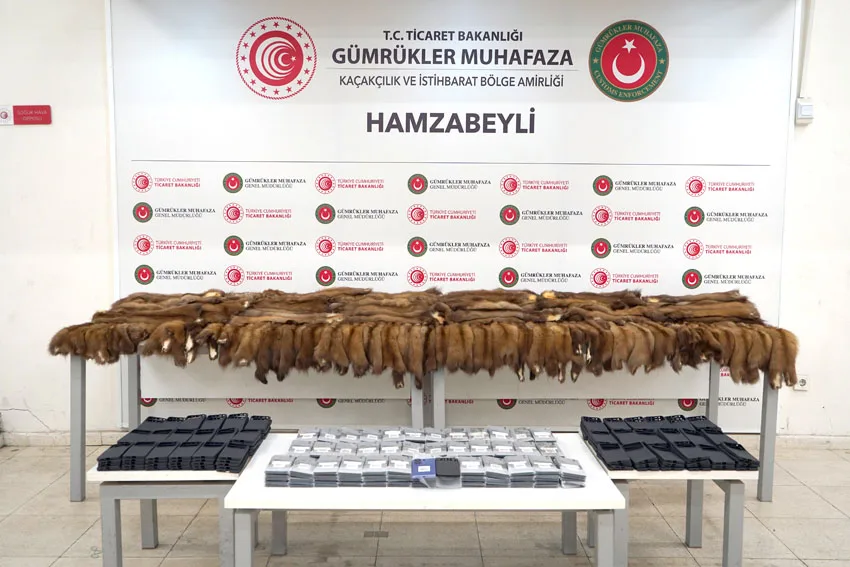 Hamzabeyli’de 155 samur postu ve 239 akıllı cep telefonu ele geçirildi
