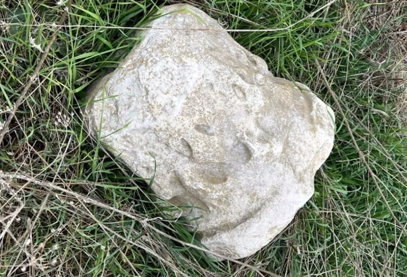 Tekirdağ’da Roma dönemine ait antik sütun başlığı ele geçirildi