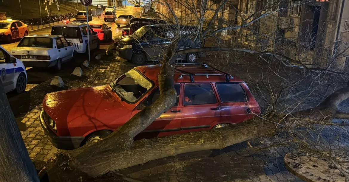 Edirne’de üzerine ağaç devrilen otomobilde hasar oluştu