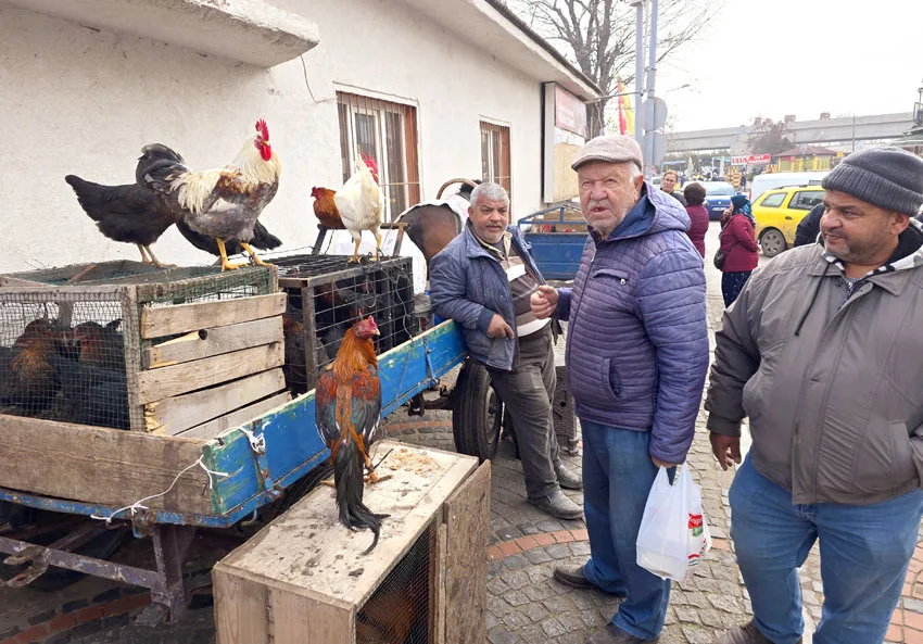 Hindinin maliyeti satışından pahalı